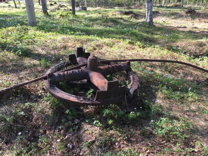 34165015_10155671362977648_3497638215571996672_n