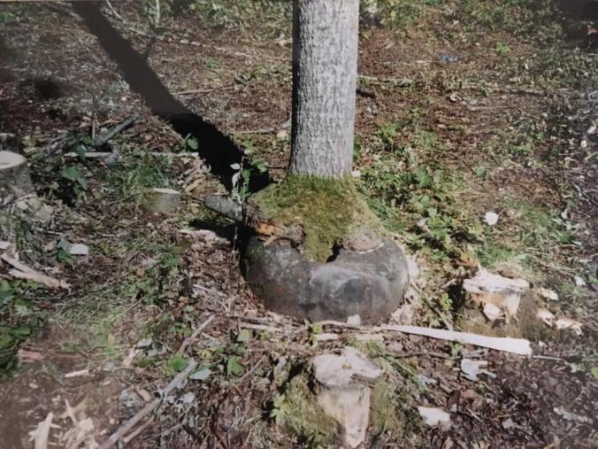 35145368_10155695820797648_2385611499772051456_n