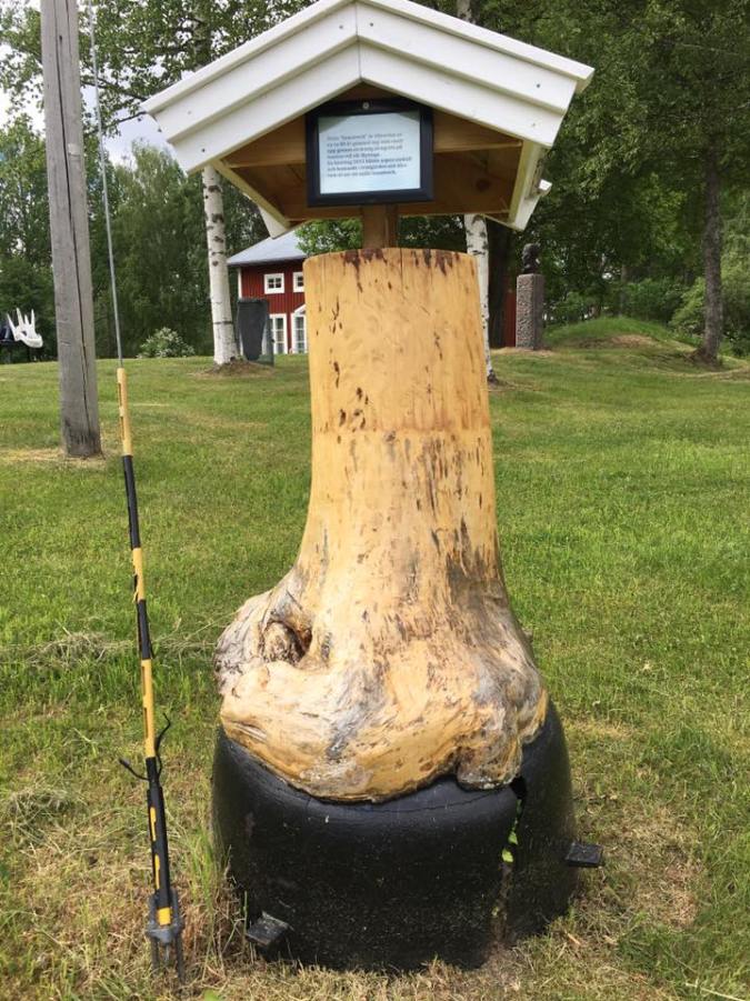 35206729_10155695820822648_1226427700919402496_n