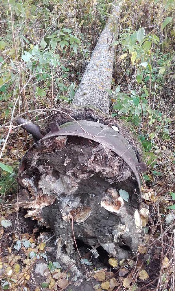 35329383_10155695820812648_3187001257030057984_n